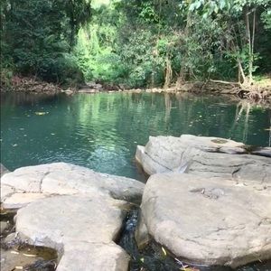 Meet your Posher, Emerson